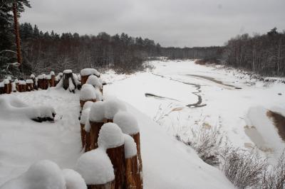 фото Л.С. Денис
